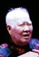 王振中演出照